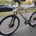 Vand Biciclete 29